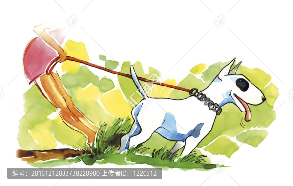 女人和斗牛犬