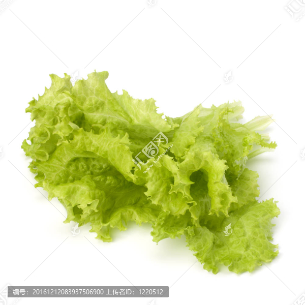 生菜沙拉