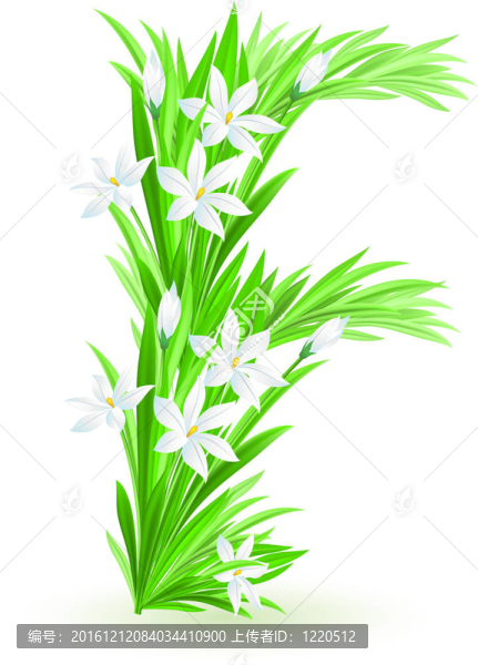 一封春天的花
