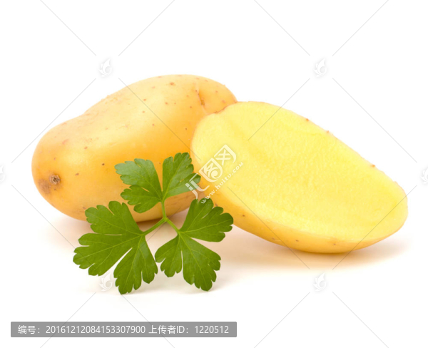 新土豆綠歐芹