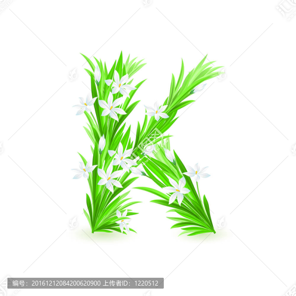 一封春天的花