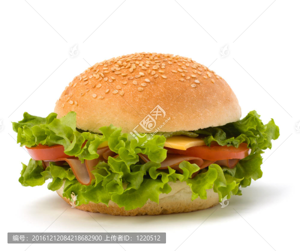 垃圾食品漢堡包