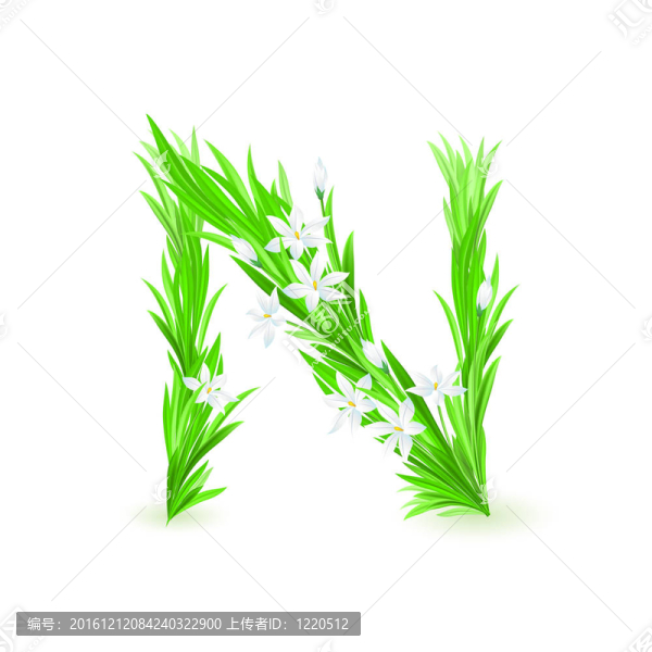 一封春天的花