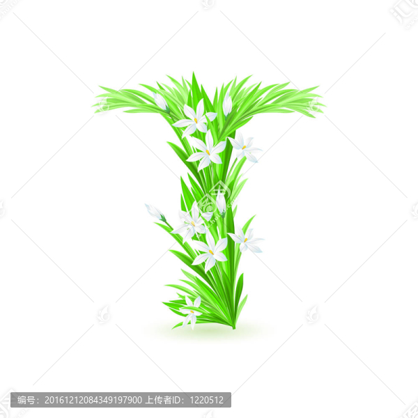 一封春天的花