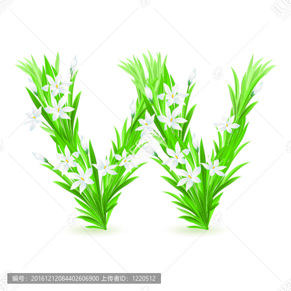 一封春天的花