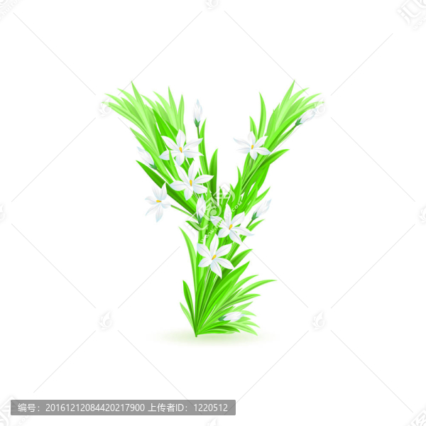 一封春天的花