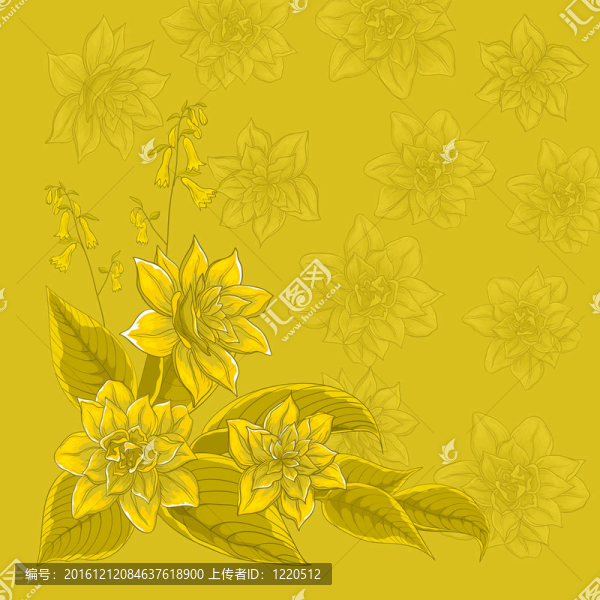 背景；花水仙
