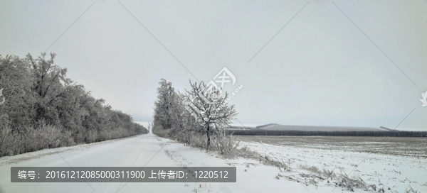冬天的路