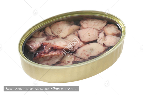 油盒章魚