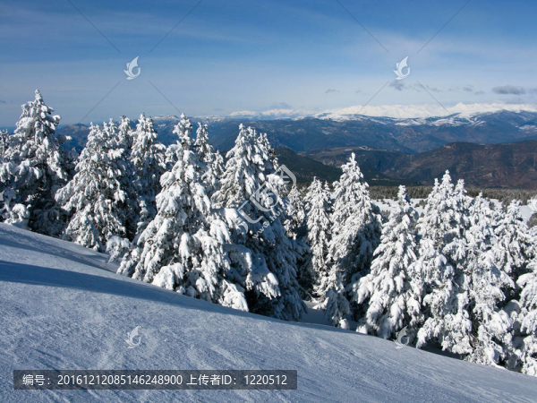 林海雪原