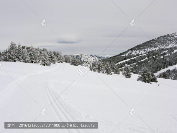 雪山山脈