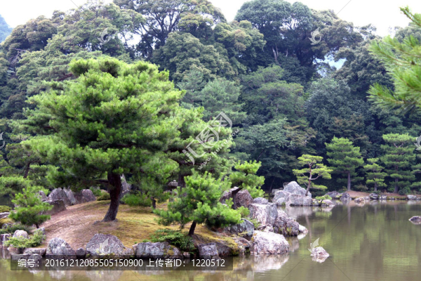 水上公園