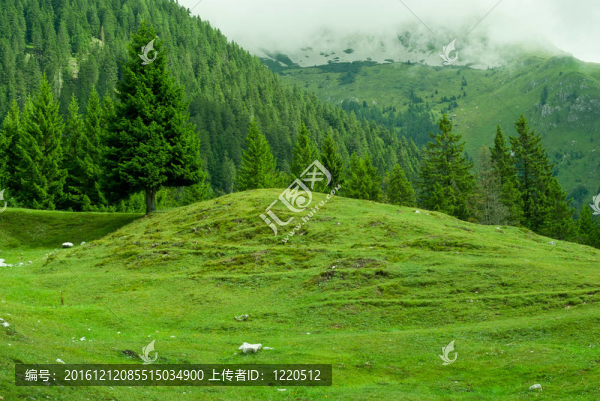 田山