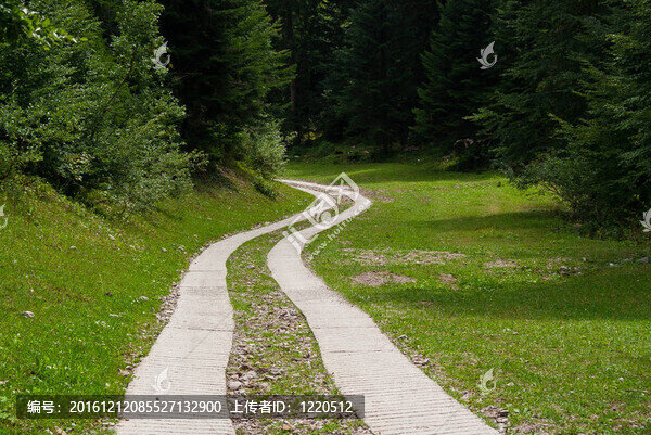 美麗的鄉(xiāng)間小路，沿著山上的Trentino森林