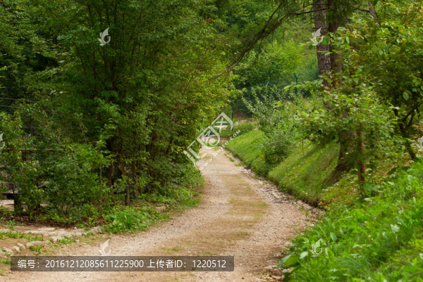 Trentino美麗的鄉(xiāng)村公路