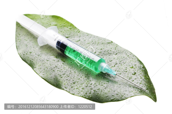 葉子上的注射器