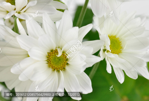 花香尾韻