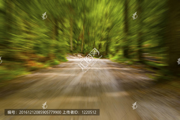 運(yùn)動(dòng)森林鄉(xiāng)村路-匯圖網(wǎng) www.fosd68.com 運(yùn)動(dòng)森林鄉(xiāng)村路