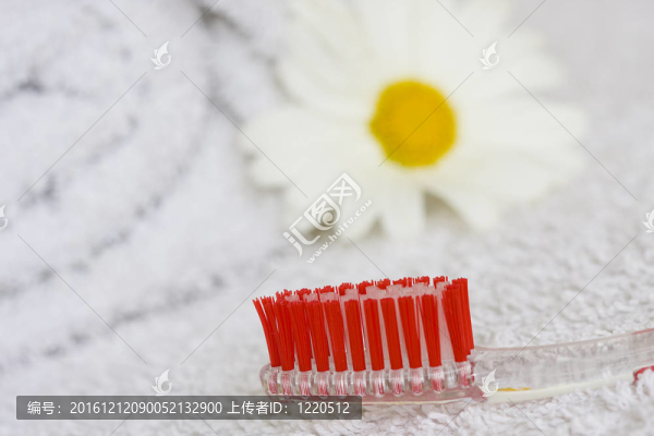 口腔衛(wèi)生