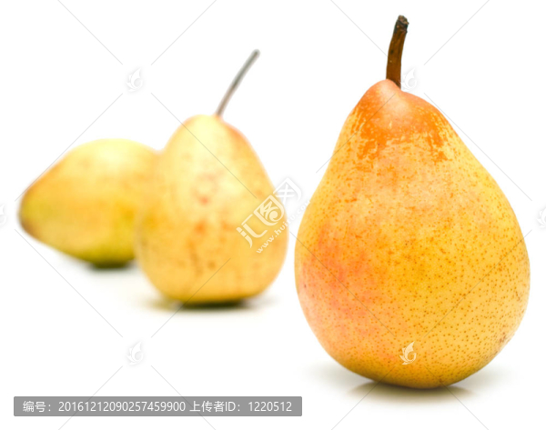 成熟的黃色的梨-匯圖網(wǎng) www.fosd68.com 成熟的黃色的梨