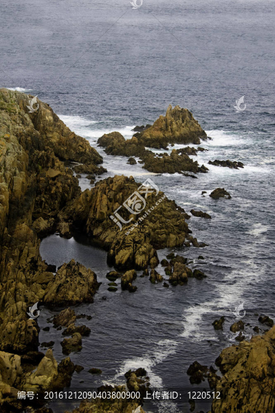 海岸；管？西班牙的一個；