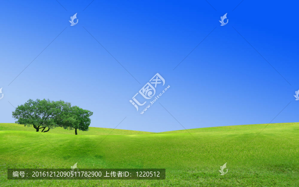 景觀