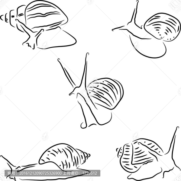 畫(huà)蝸牛螟