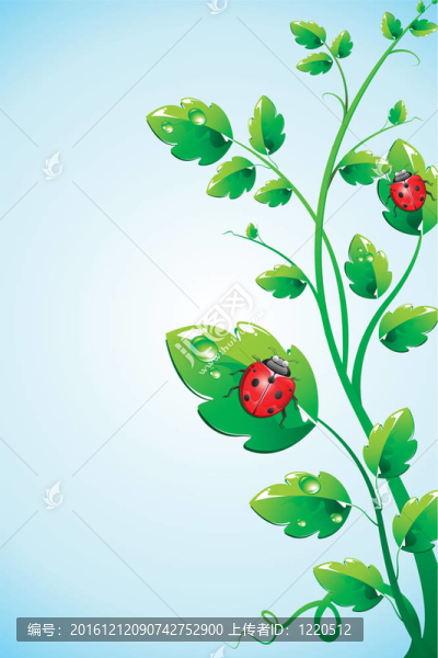蟲對(duì)植物