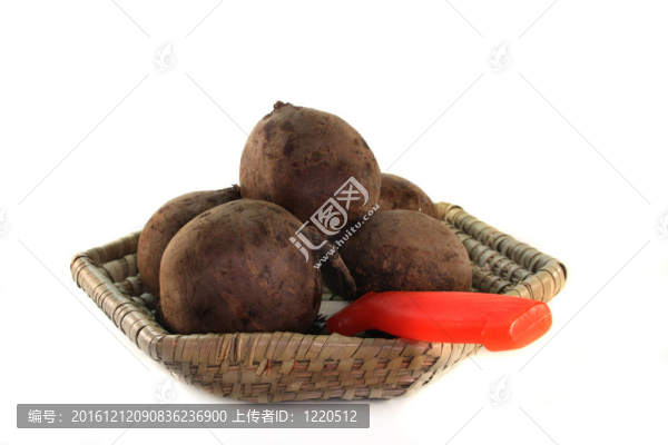 甜菜根