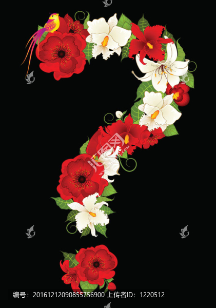 花的問(wèn)號(hào)