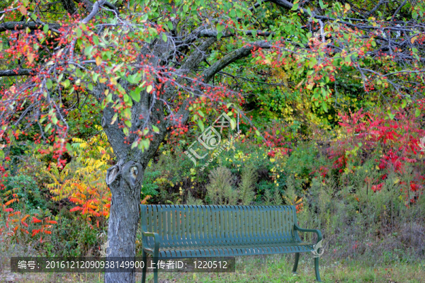 在公園長(zhǎng)椅上