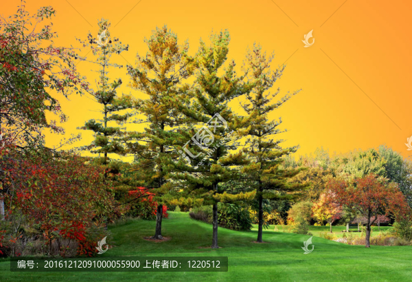 秋日夕陽(yáng)