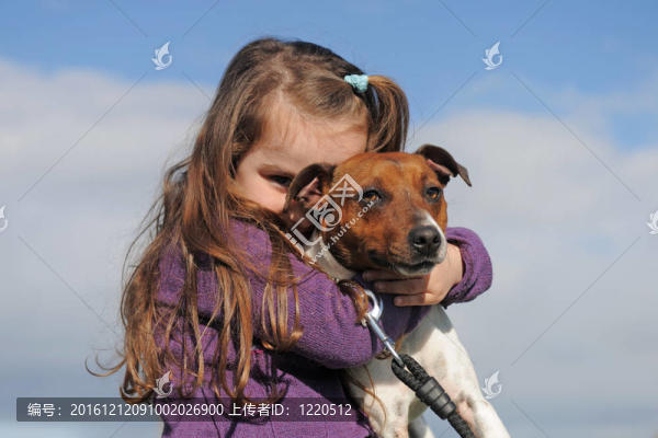 jack,russel,terrier和孩子