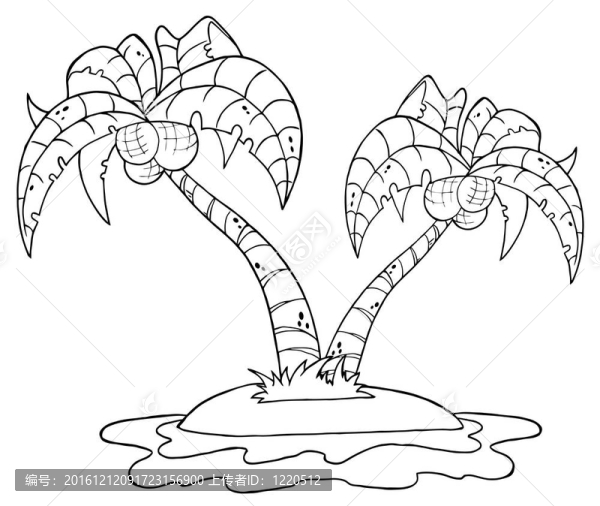 兩棕櫚樹(shù)概述島嶼