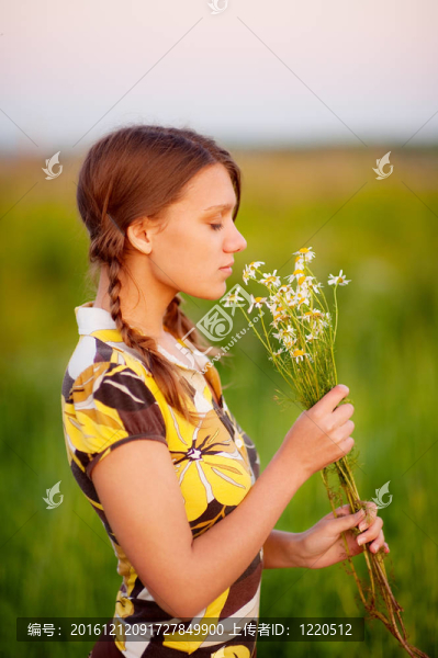 年輕漂亮的女人wllith束camomiles