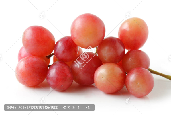 全球紅葡萄