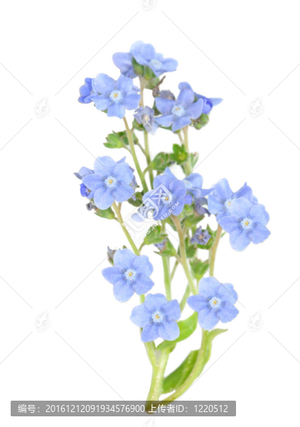 不要忘記我