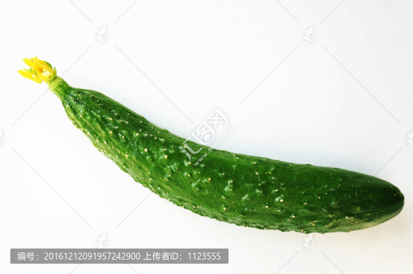 黃瓜一支