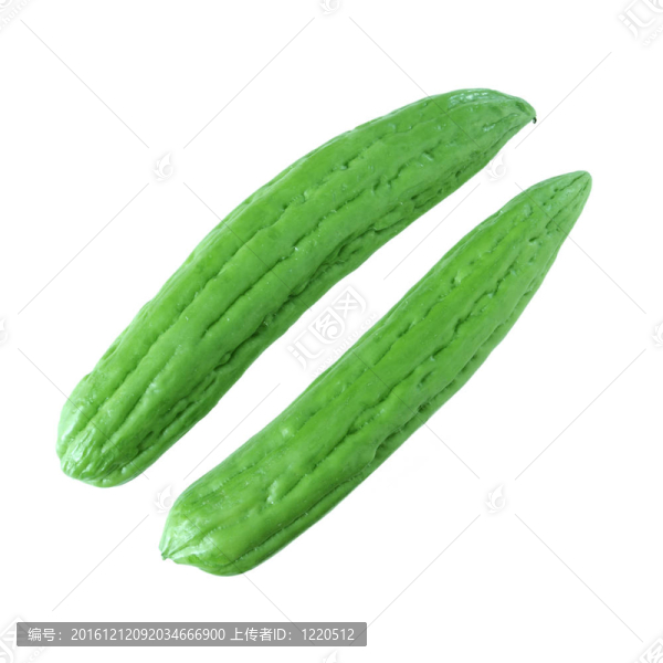 苦瓜
