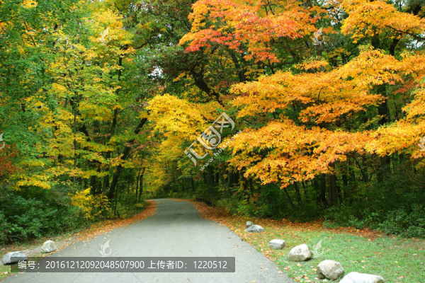 秋天的路上