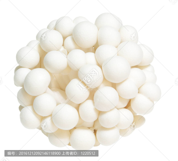 蟹味菇