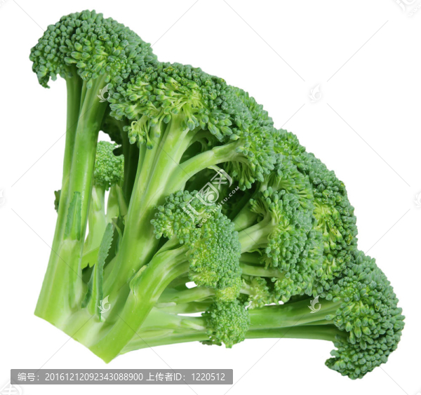 西蘭花