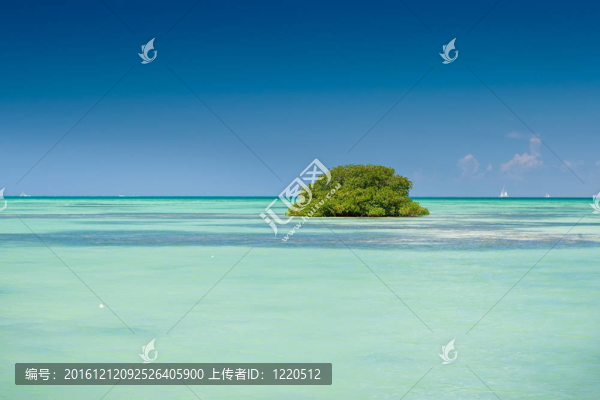 夏日藍(lán)色海洋中紅樹林綠島