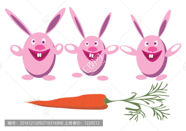 兔子和carrot