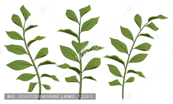 美麗的葉子的設(shè)計(jì)元素