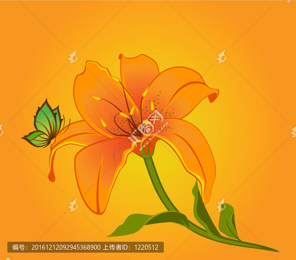 背景與美麗的花朵