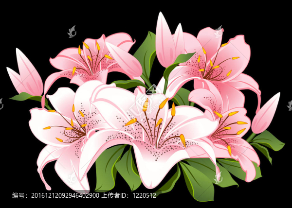 背景與美麗的花朵
