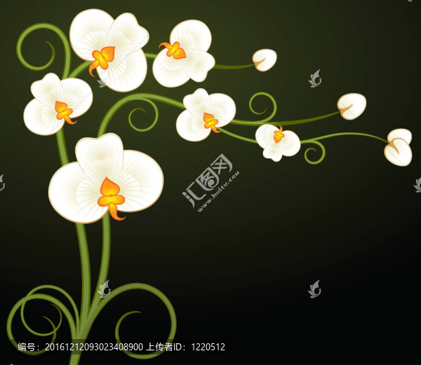 背景與美麗的花朵