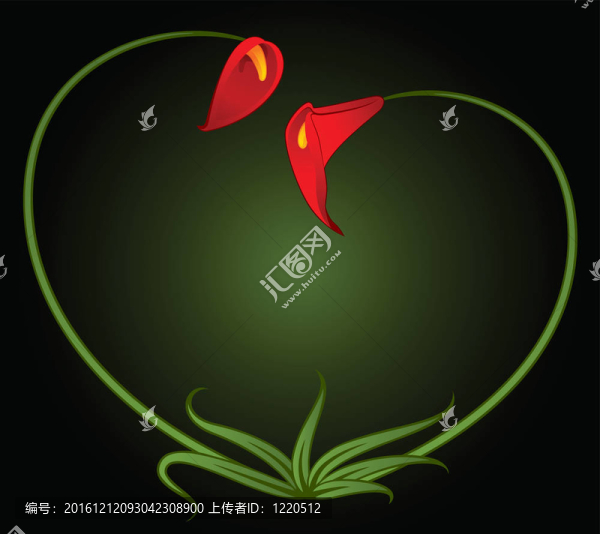 美麗的熱帶紅百合