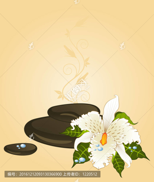 蘭花與石頭。